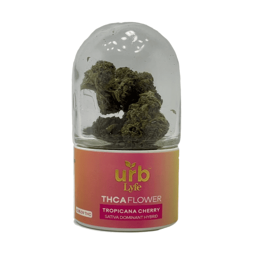 urb - Lyfe - THCA Flower - Hemp Flower (5g) - MK Distro