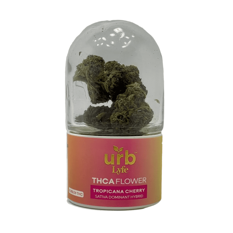 urb - Lyfe - THCA Flower - Hemp Flower (5g) - MK Distro